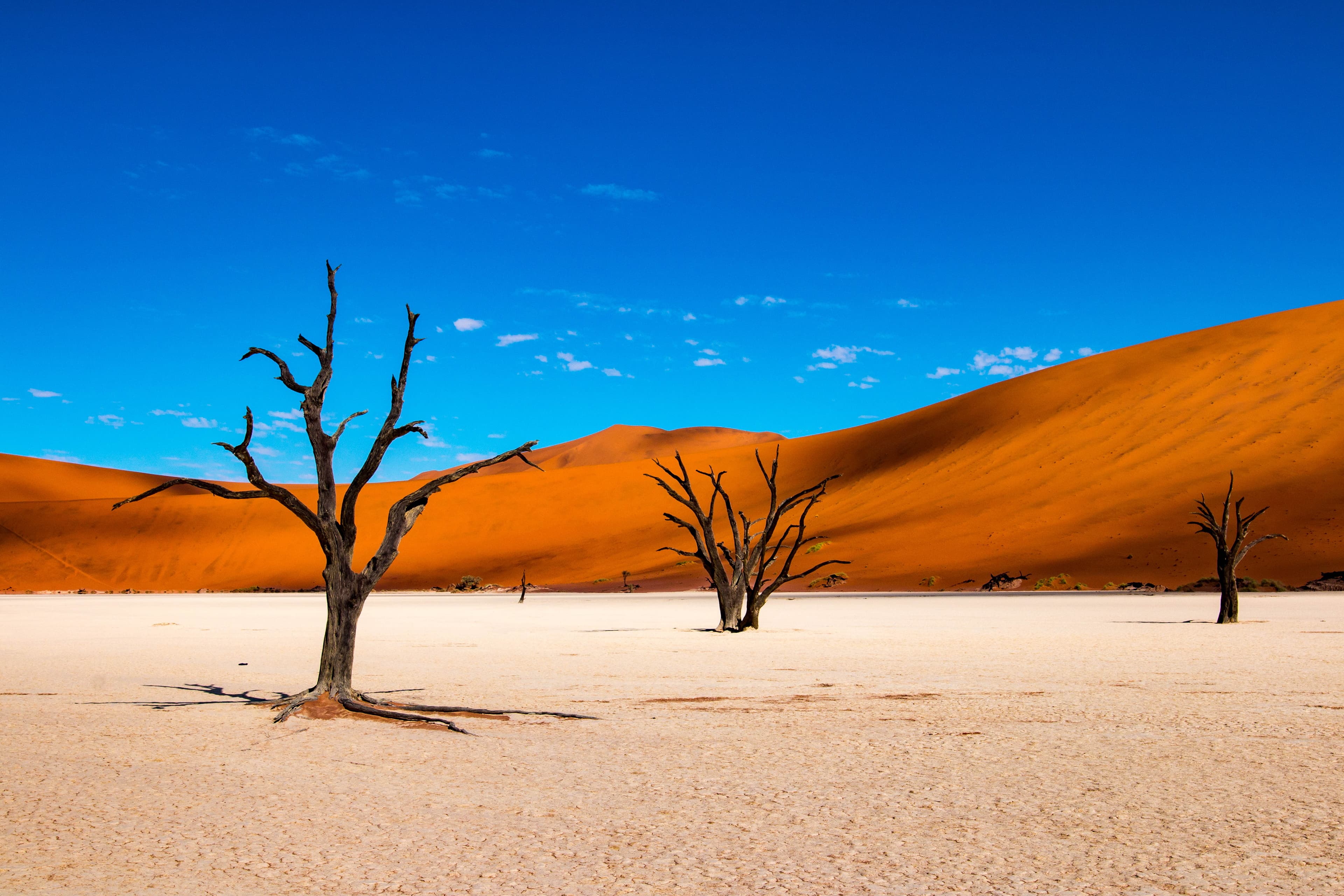 Dead Vlei