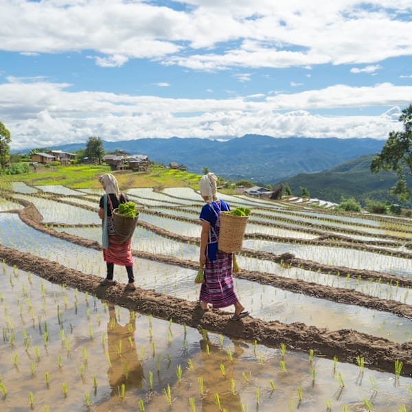 Abenteuer Thailand: Von Bergvölkern zum Inselhopping
