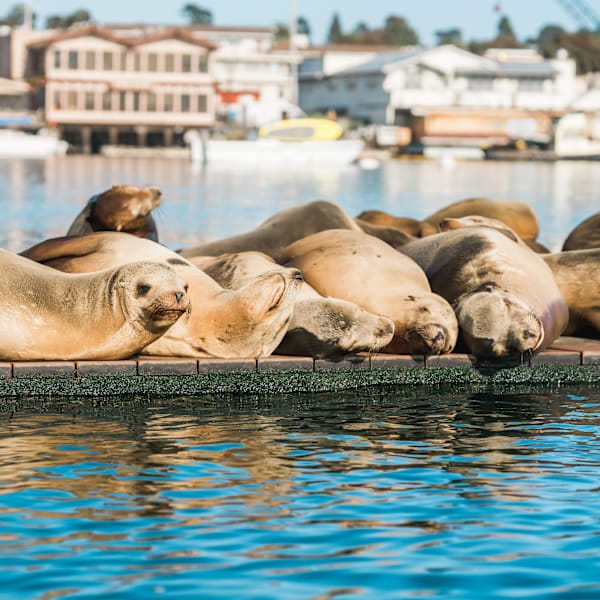 New York & California: Roadtrip Dreams & National Wonders!