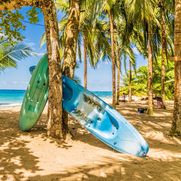 Abenteuer Costa Rica: Jungle Nights & Pura Vida!