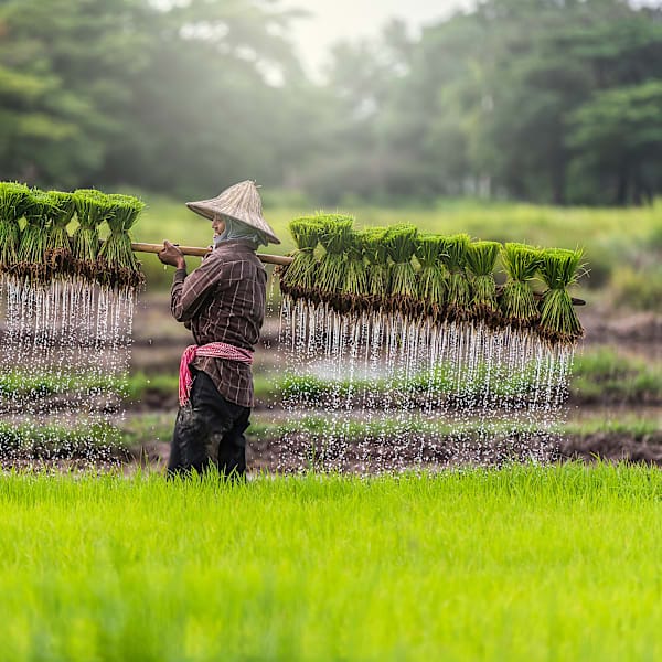 Indonesien Intense: From Sulawesi Locals to Bali Paradise