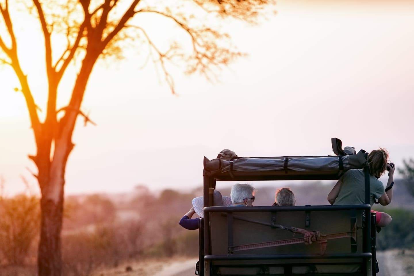 Evening safari through Kruger National Park thumbnail