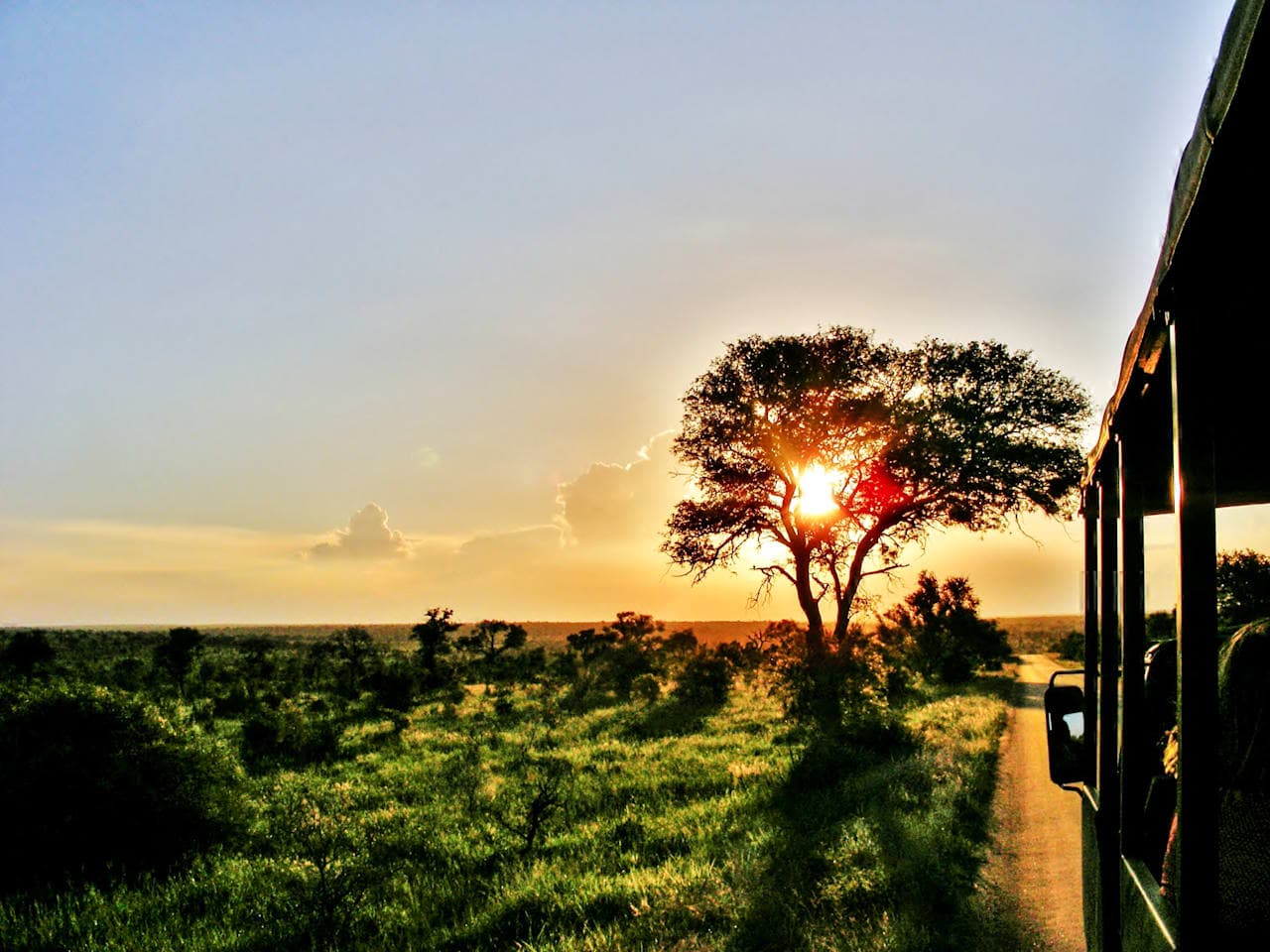 Sunset safari with dinner in a private game reserve thumbnail