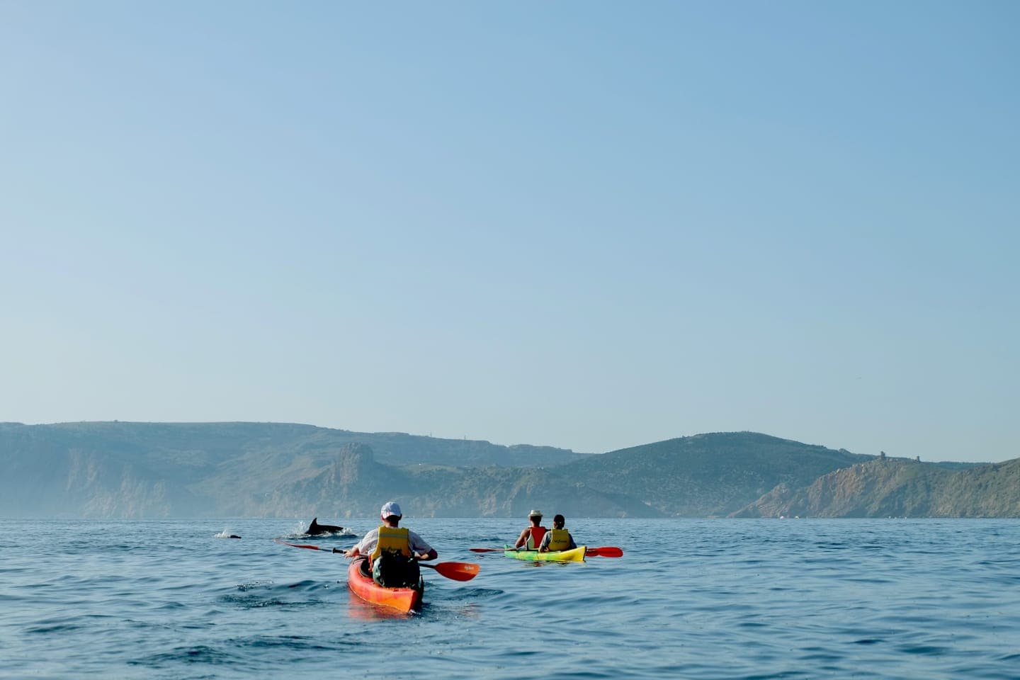 Kayak tour with dolphins and turtles from Byron Bay thumbnail