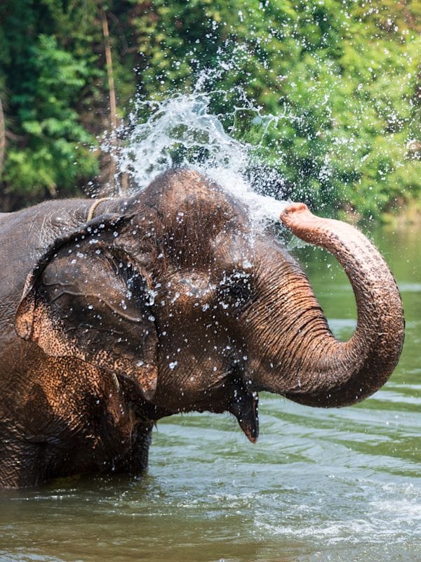 Thailand Adventure